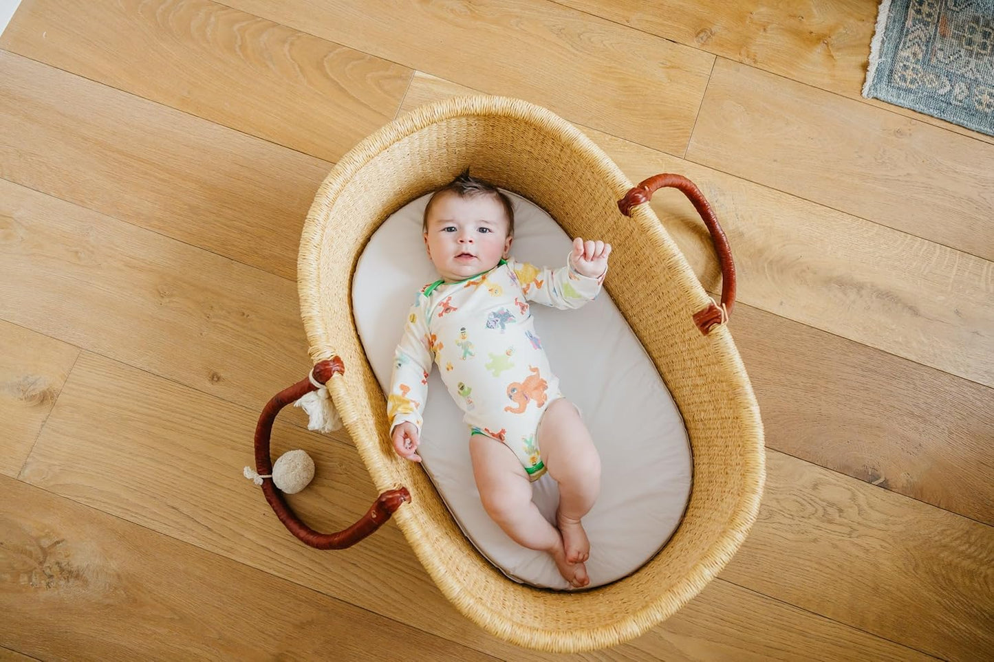 Copper Pearl Long Sleeve Bodysuit Baby: Ultra Soft Baby for Newborns, Boys, and Girls - Stylish, Comfortable, Overlap Shoulders, Premium Knit Fabric - Newborn, Sesame Friends